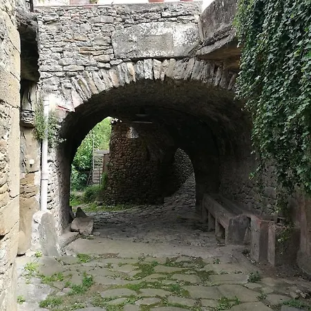Puig De *