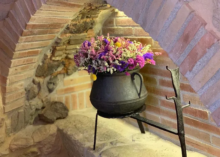 Puig De *